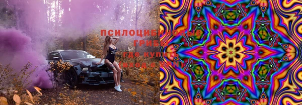 стафф Алексин