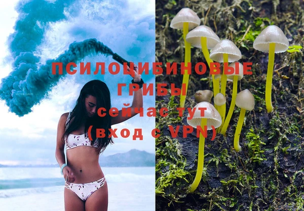 крисы Алексеевка