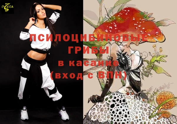крисы Алексеевка