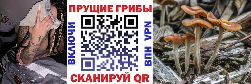 Галлюциногенные грибы MAGIC MUSHROOMS  Павловский Посад 